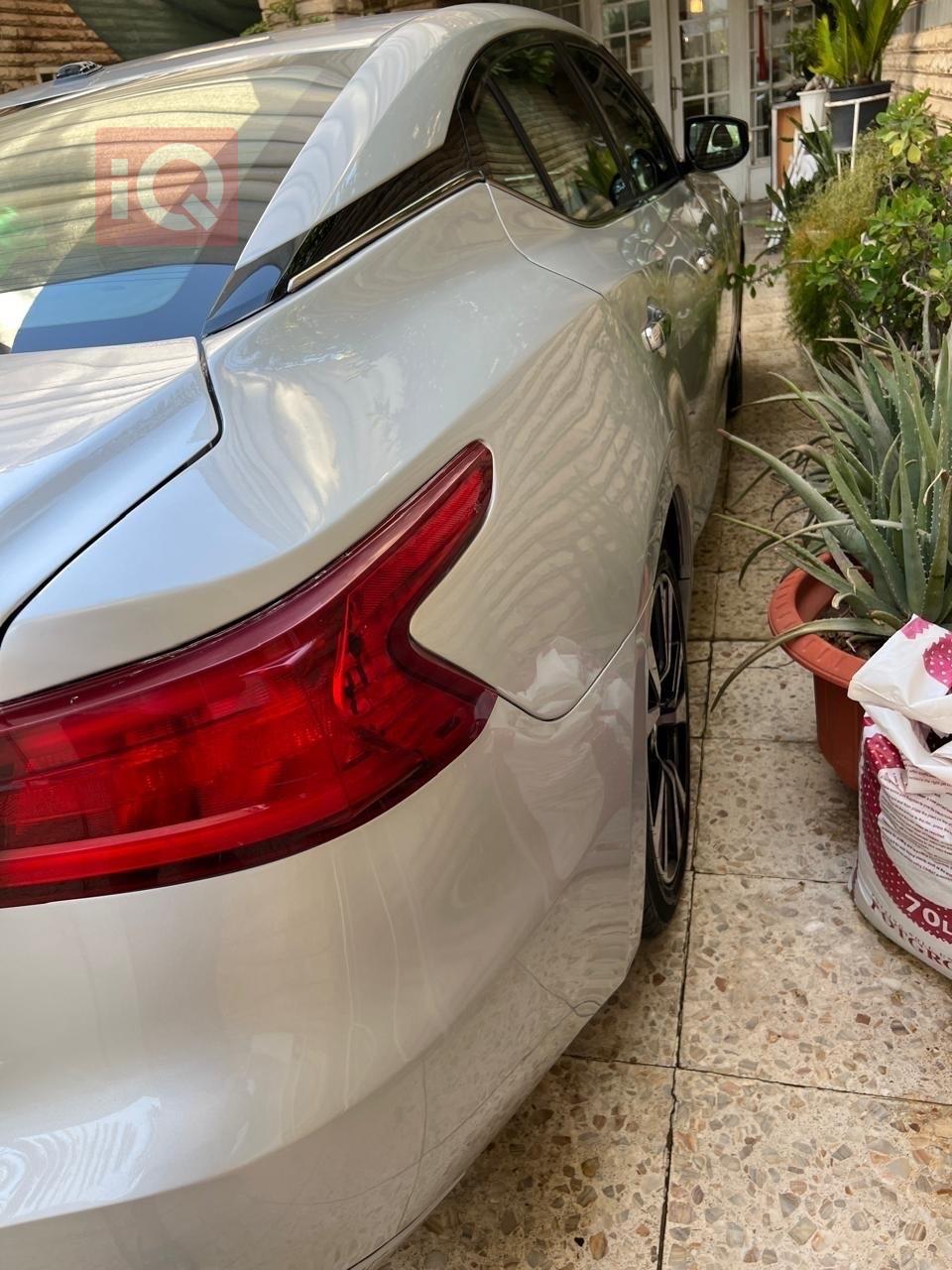 نيسان ماكسيما